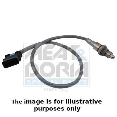 Oxygen Sensor